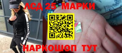 мяу мяу мука Ачхой-Мартан