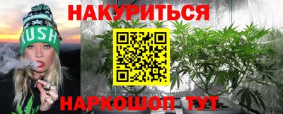 гидропоника Аша