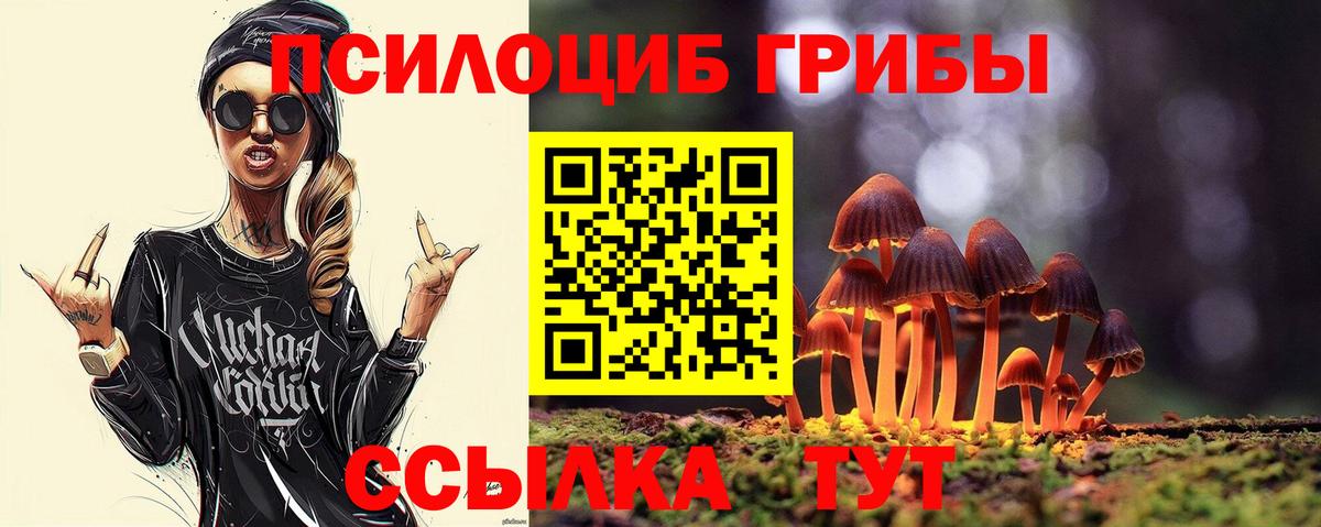 Псилоцибиновые грибы Psilocybe Городец